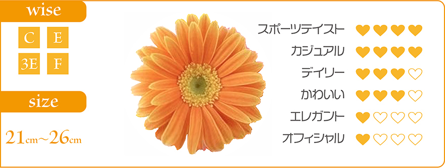 20200123gerbera_banner