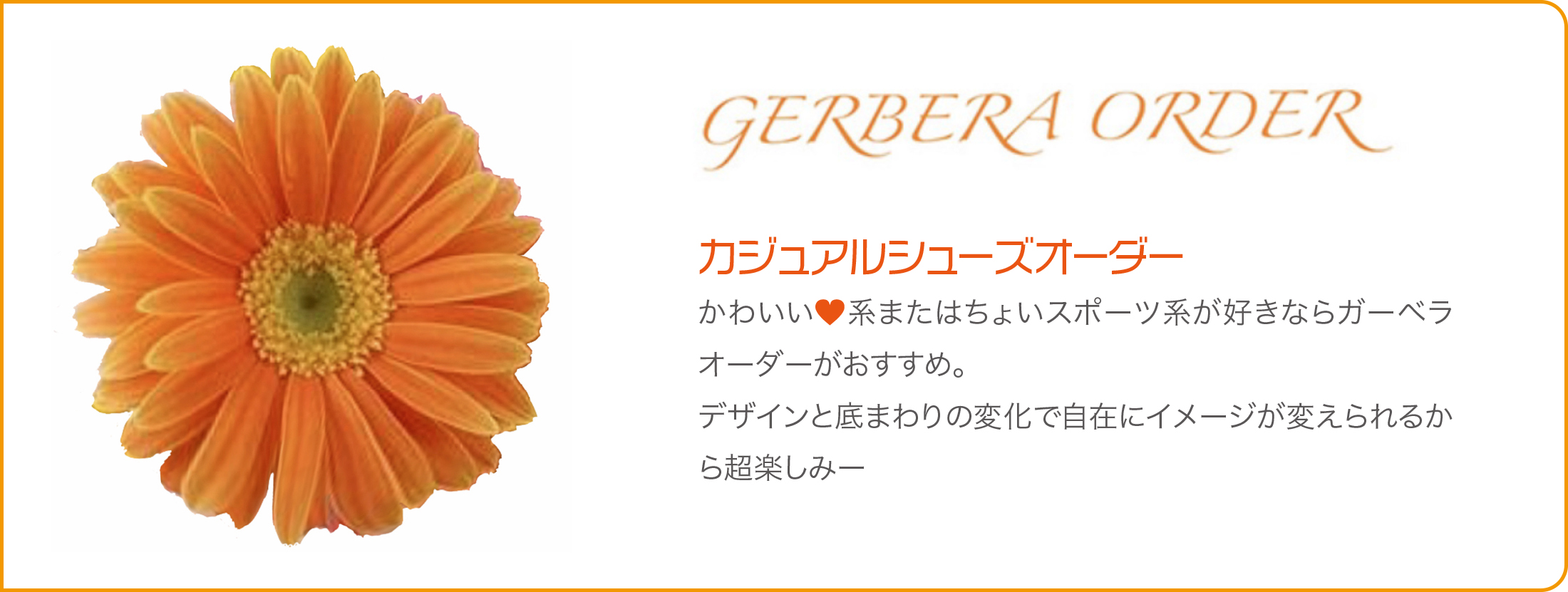 20200123gerbera_banner