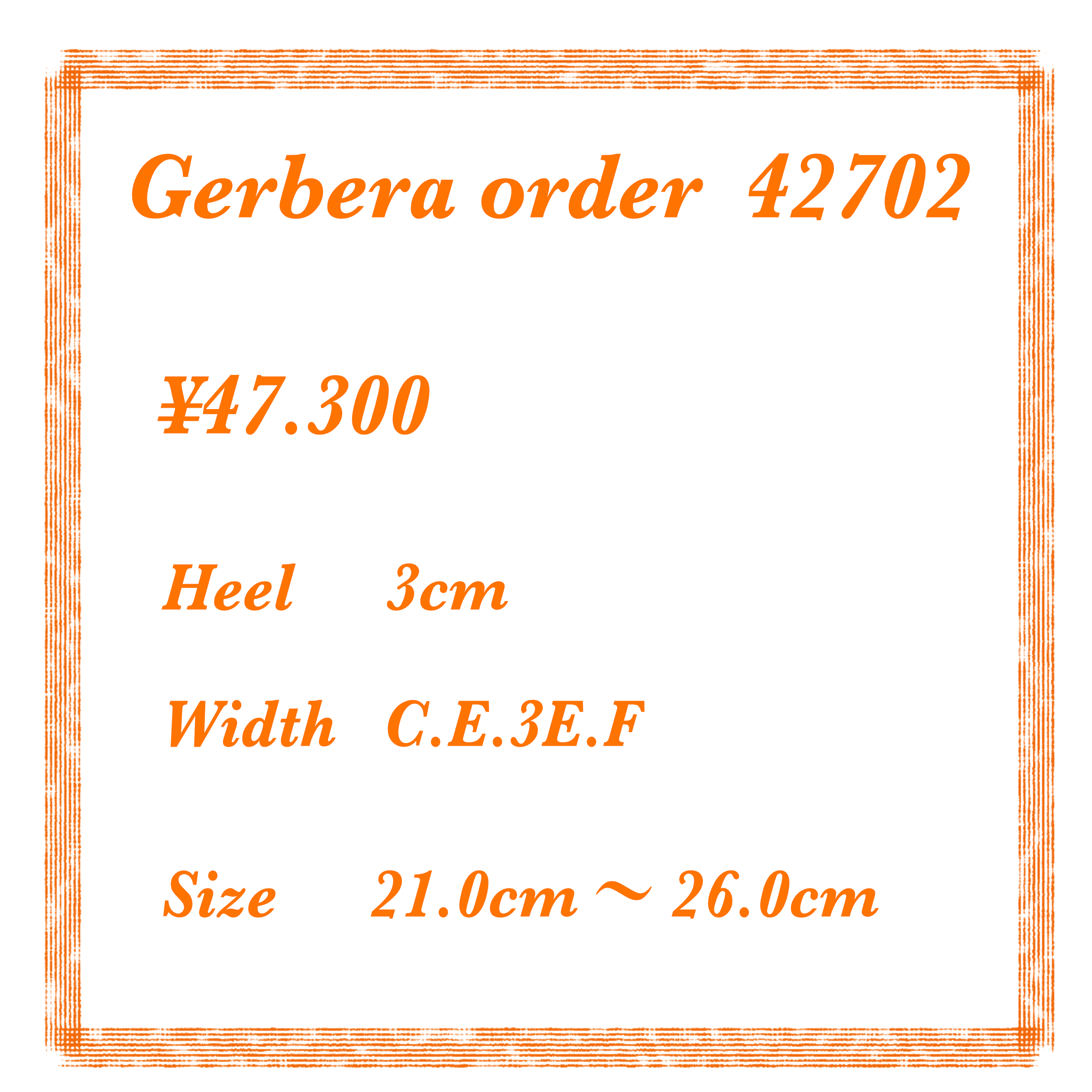 ガーベラ　42702