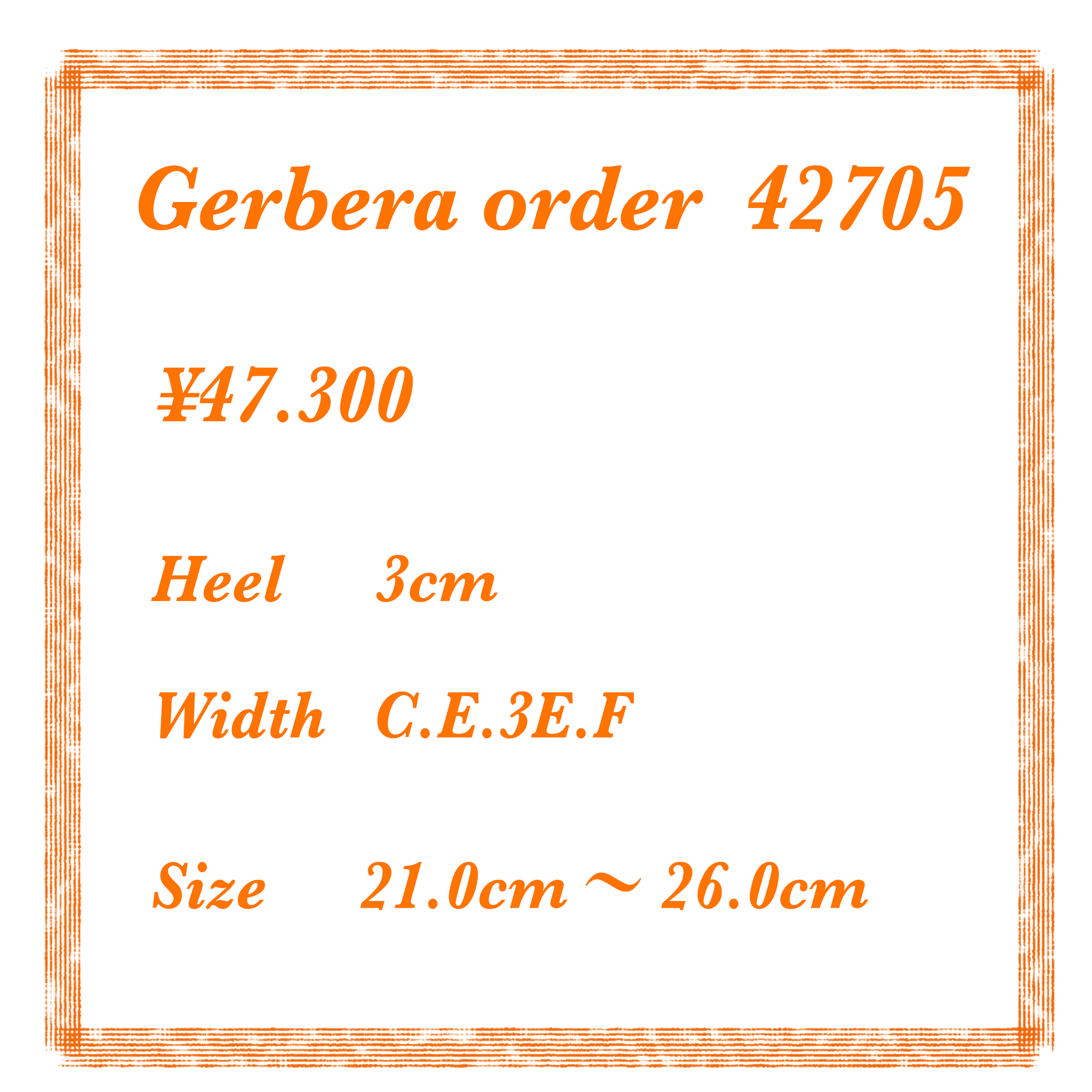 ガーベラ　42705