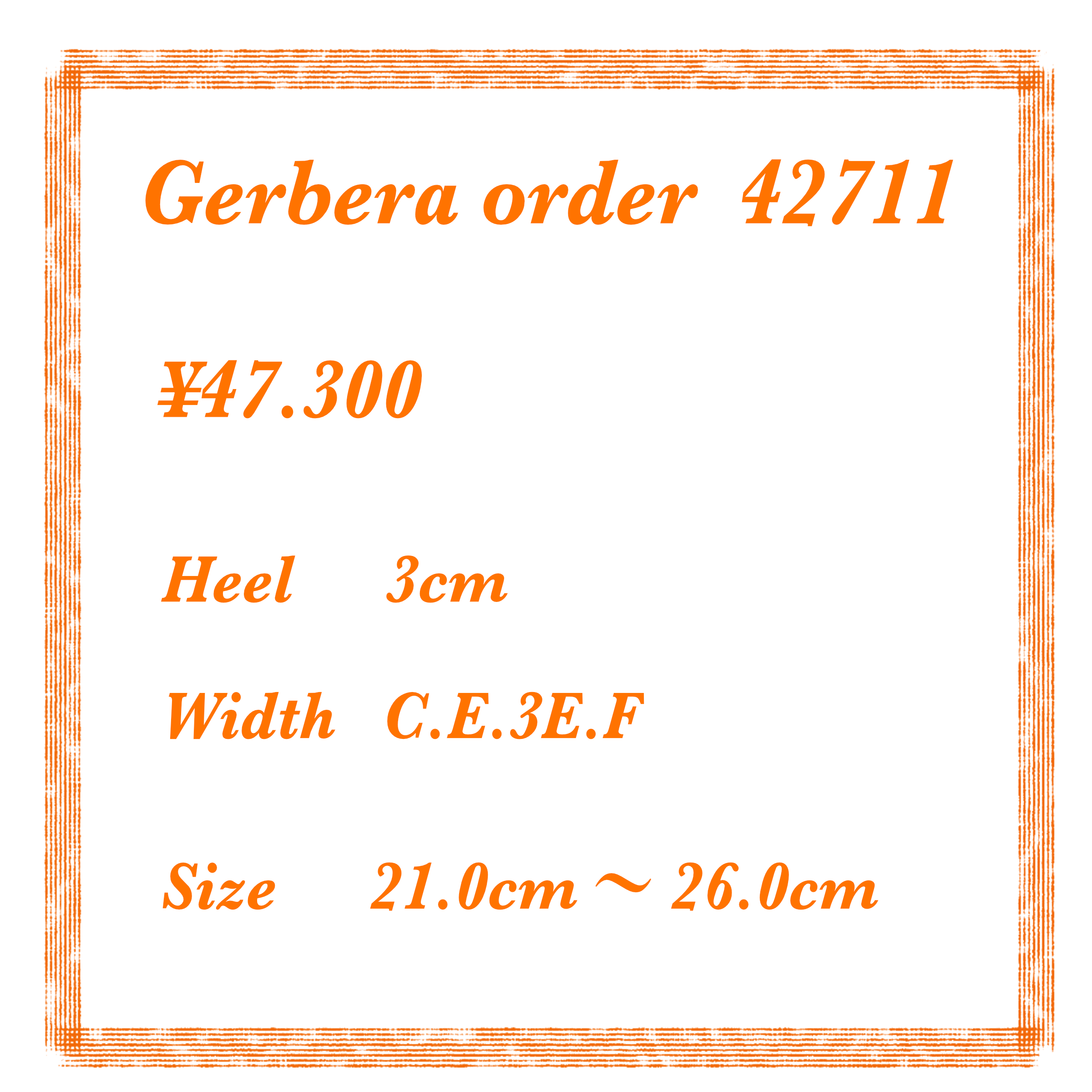 ガーベラ　42711